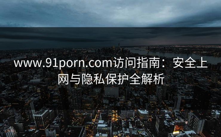 www.91porn.com访问指南：安全上网与隐私保护全解析